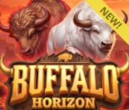 Buffalo Horizon