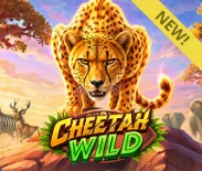 Cheetah Wild