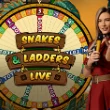 Snakes & Ladders Live