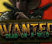 Wanted Dead or a Wild